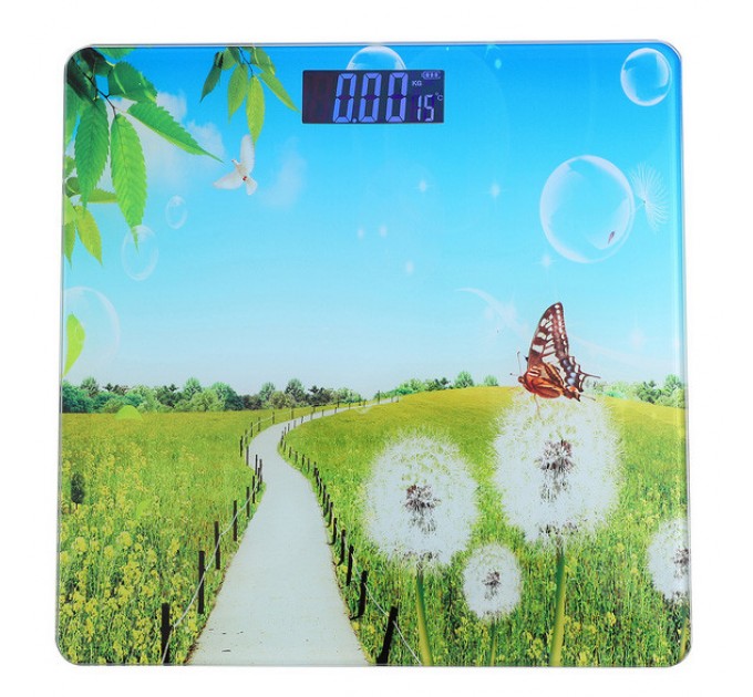 Весы напольные 17BT, 180кг (50г), температура