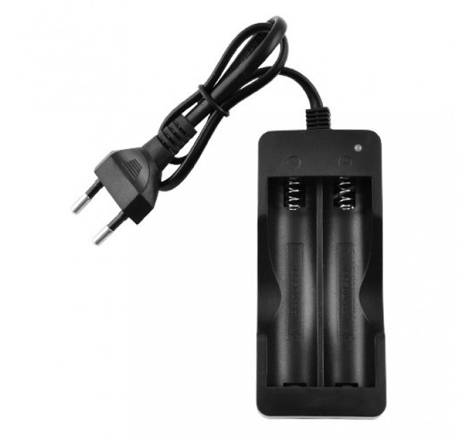 Зарядное устройство SM-202А, 2х18650, 220V