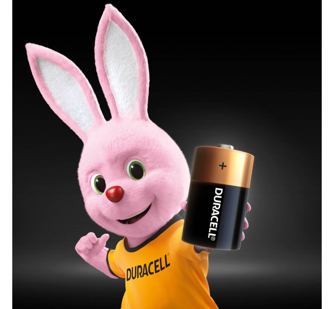 Батарейка Duracell D/ LR20 /MN1300 KPN 02*10