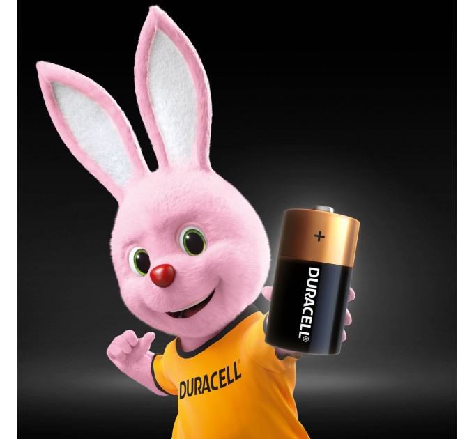 Батарейка Duracell LR14 MN1400 KPN 02*10