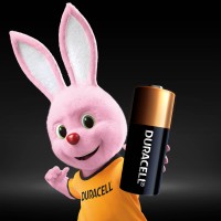 Батарейка Duracell MN21 BLN 01x10 2 шт.