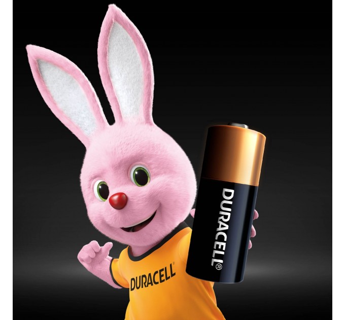 Батарейка Duracell MN21 BLN 01x10 2 шт.